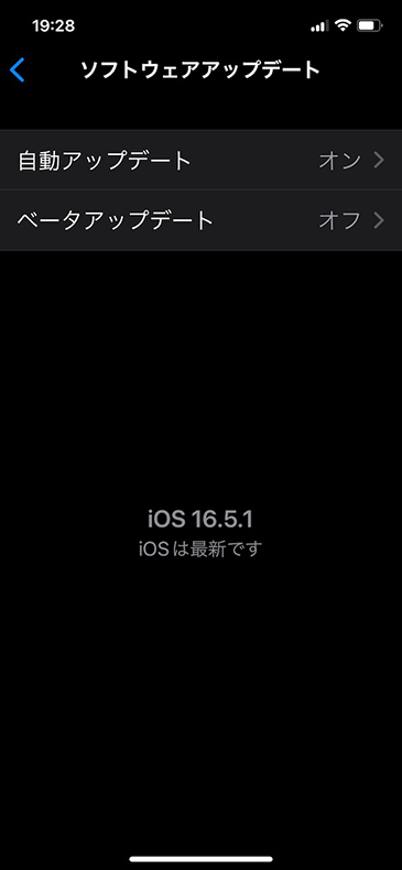 iOS リセット後のソフトウェアアップデート画面 iOS 16.5.1