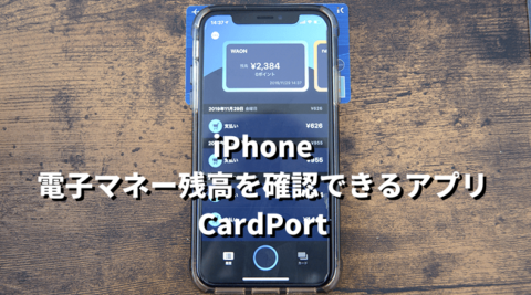 iPhone CardPort